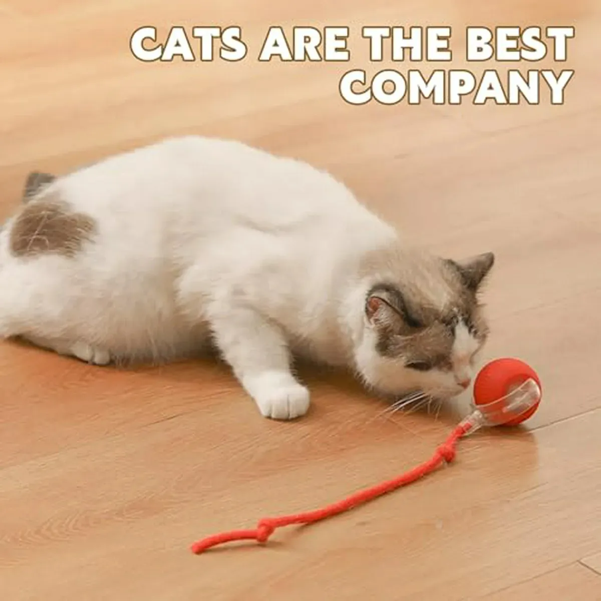 Miniatura 3 de Juguete Interactivo Pelota Bola Gatos